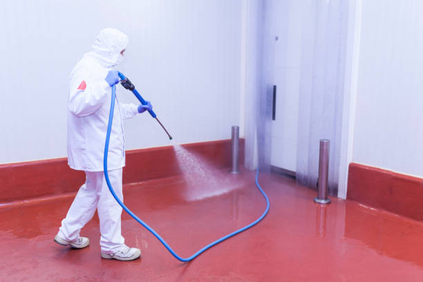 Best Building Exterior Washing  in Dundee, OR